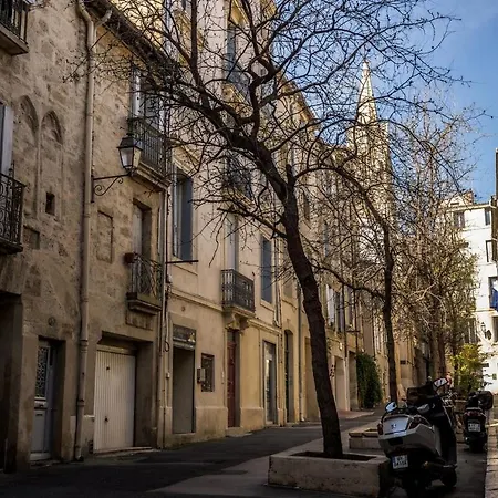 Nid De L'ecusson * Montpellier